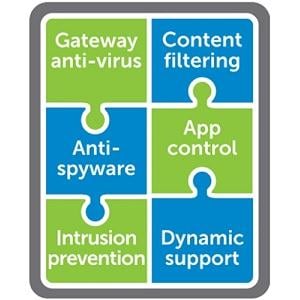 CGSS FOR NSA 5600 1YR