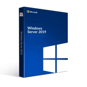 Microsoft WS 2019 10CALs User